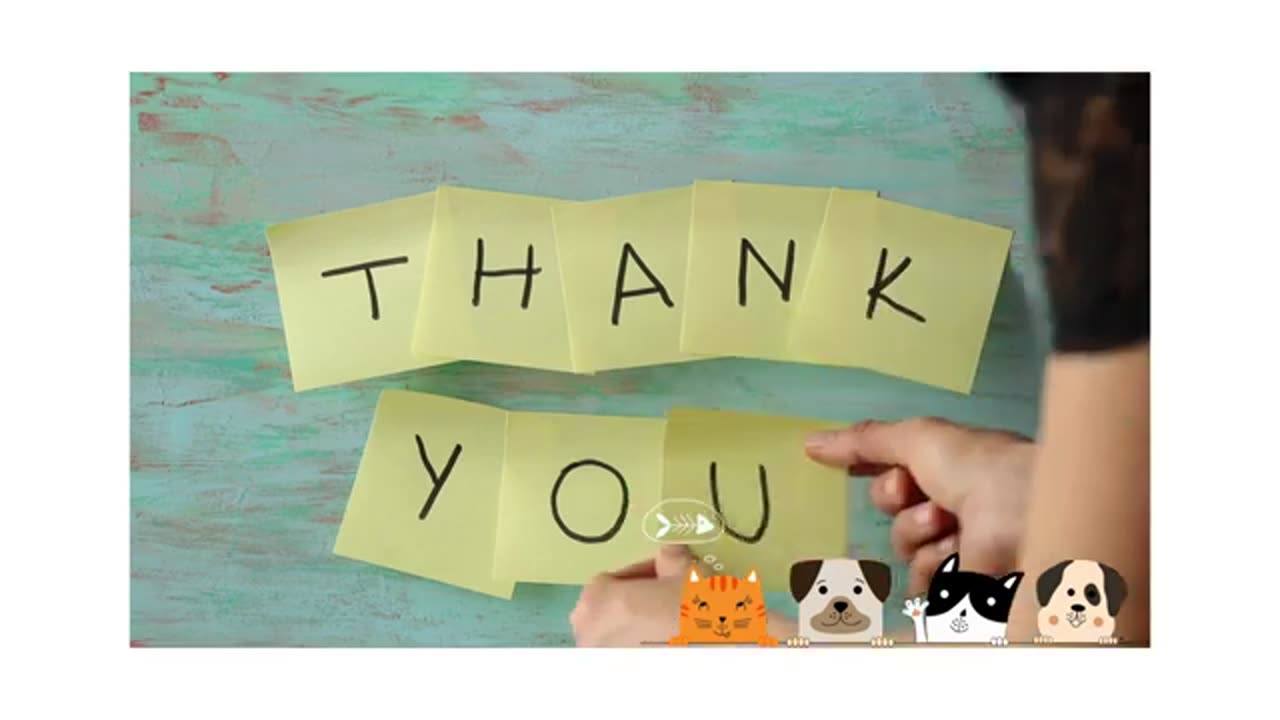 Dogs ๐ and cats๐