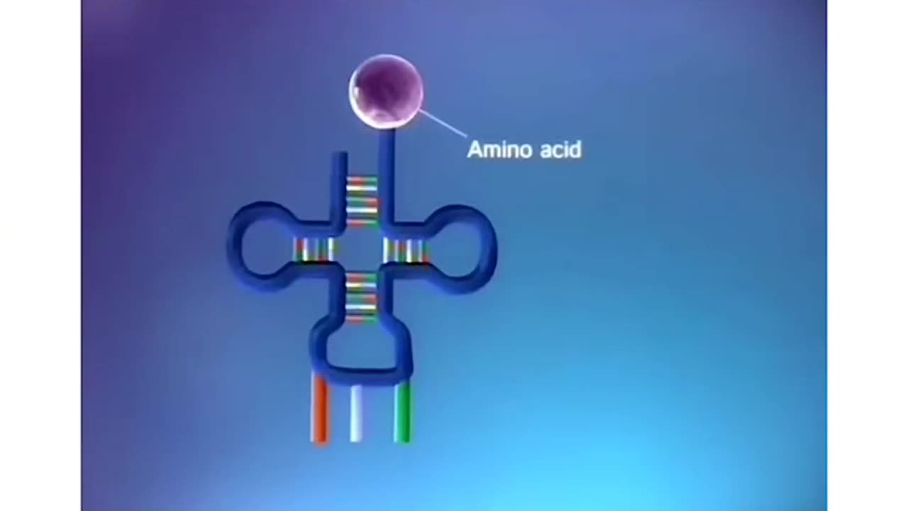 DNA. TO. RNA