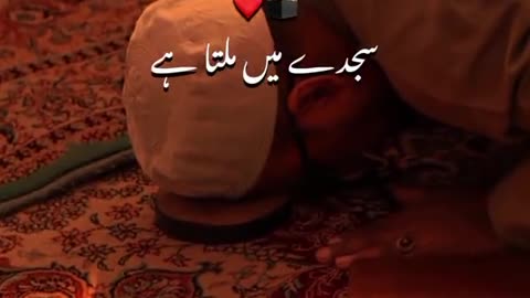 Ameen summa Ameen 🤲🤲🤲