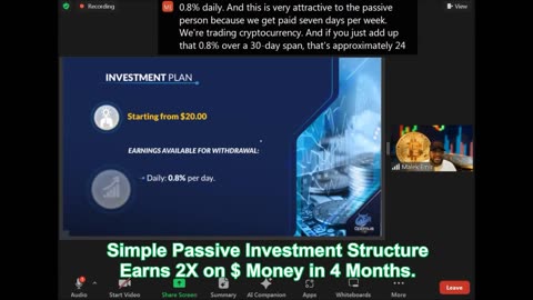 OptimusVIP Passive Income Information Segment