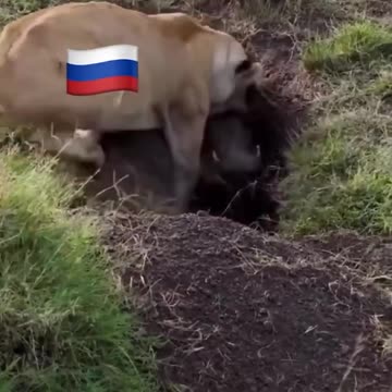 Kursk Situation in a Nutshell: Ukraine’s Foolish Invasion into Russia