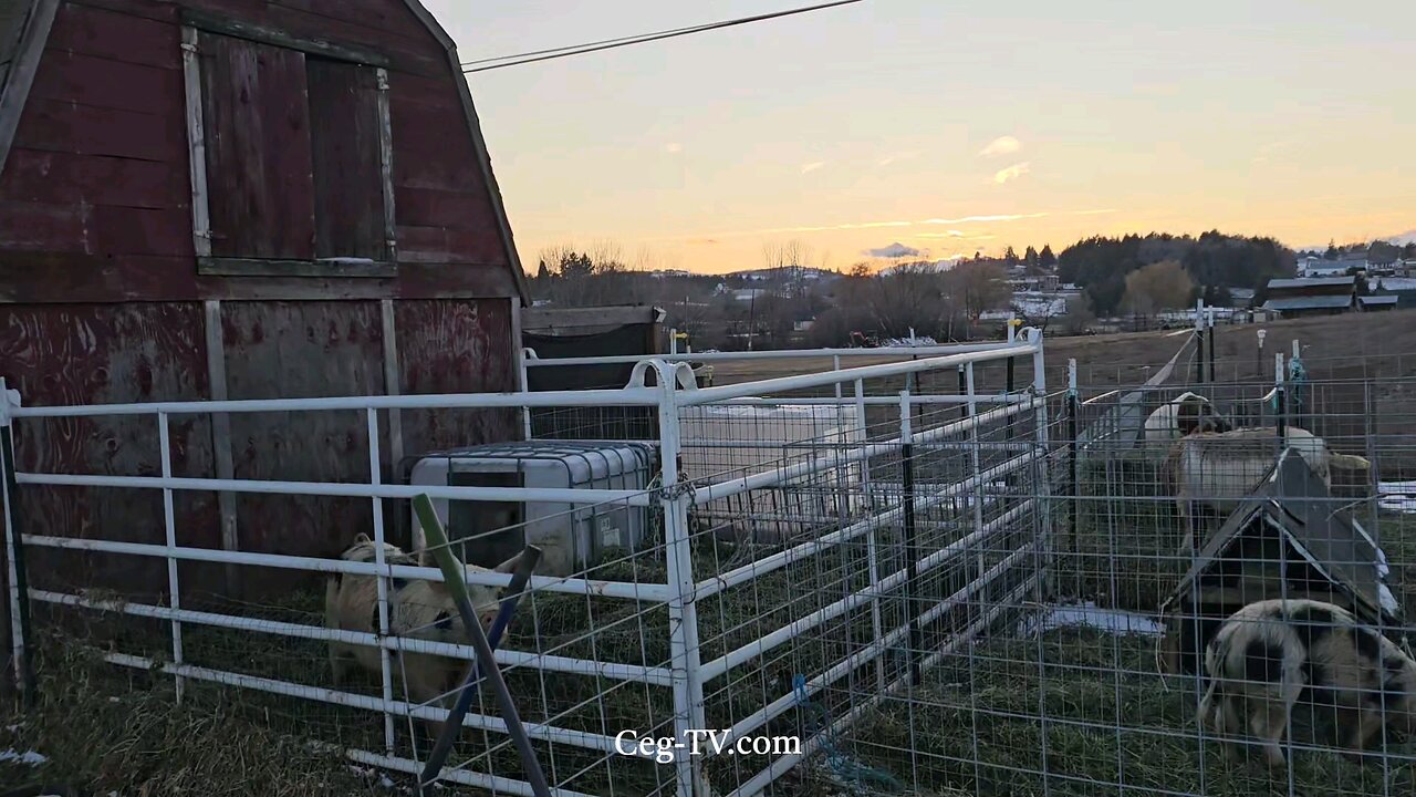 Graham Family Farm: 5:15 PM February 14th 2025