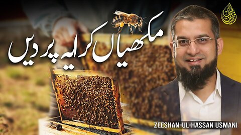 Rent Bees | مکھیاں کرایہ پر دیں | Zeeshan Usmani
