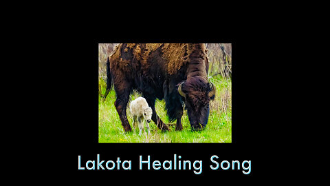 Lakota Healing Song