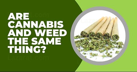 Cannabis vs. Weed: What’s the REAL Difference? (Explained!)