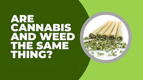 Cannabis vs. Weed: What’s the REAL Difference? (Explained!)