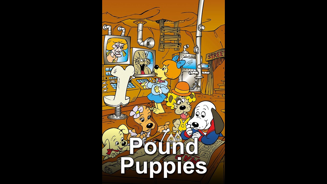 Pound Puppies ( Wagga Wagga ) Full Cartoon 1986