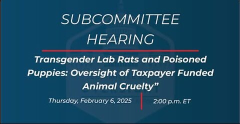 Transgender Lab Rats and Poisoned Puppies: Oversight of Taxpayer Funded Animal Cruelty