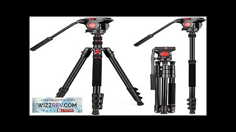 Tripod Camera Tripod 72" Video Tripod with Fluid Head Aluminum Heavy Duty Review