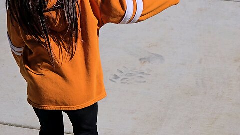 rollerblading in february