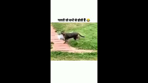 #funy video