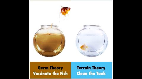 OPTIMIZE YOUR HEALTH! GERM THEORY VS TERRAIN THEORY-ENVIRONMENT VS PATHOGEN*