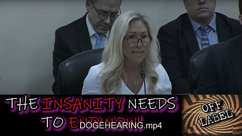 The First DOGE Committee Hearing