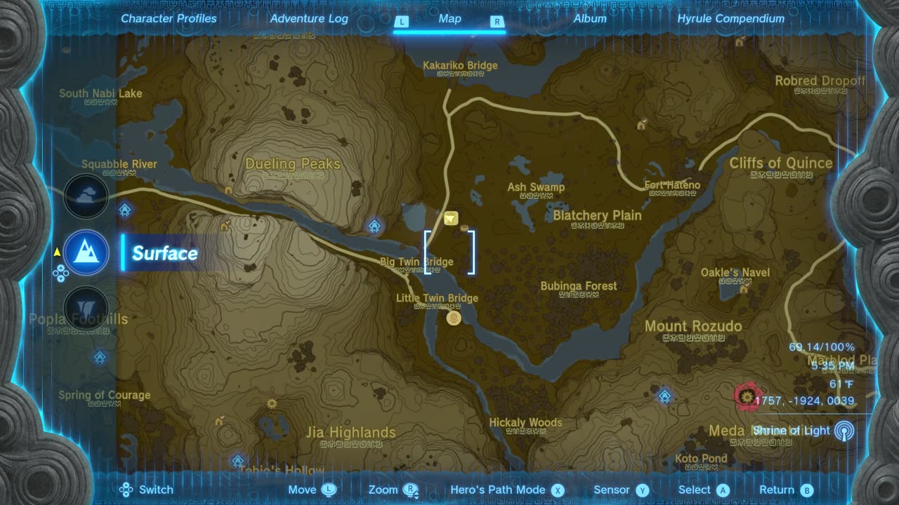 PRINCESS ZELDA KIDNAPPED