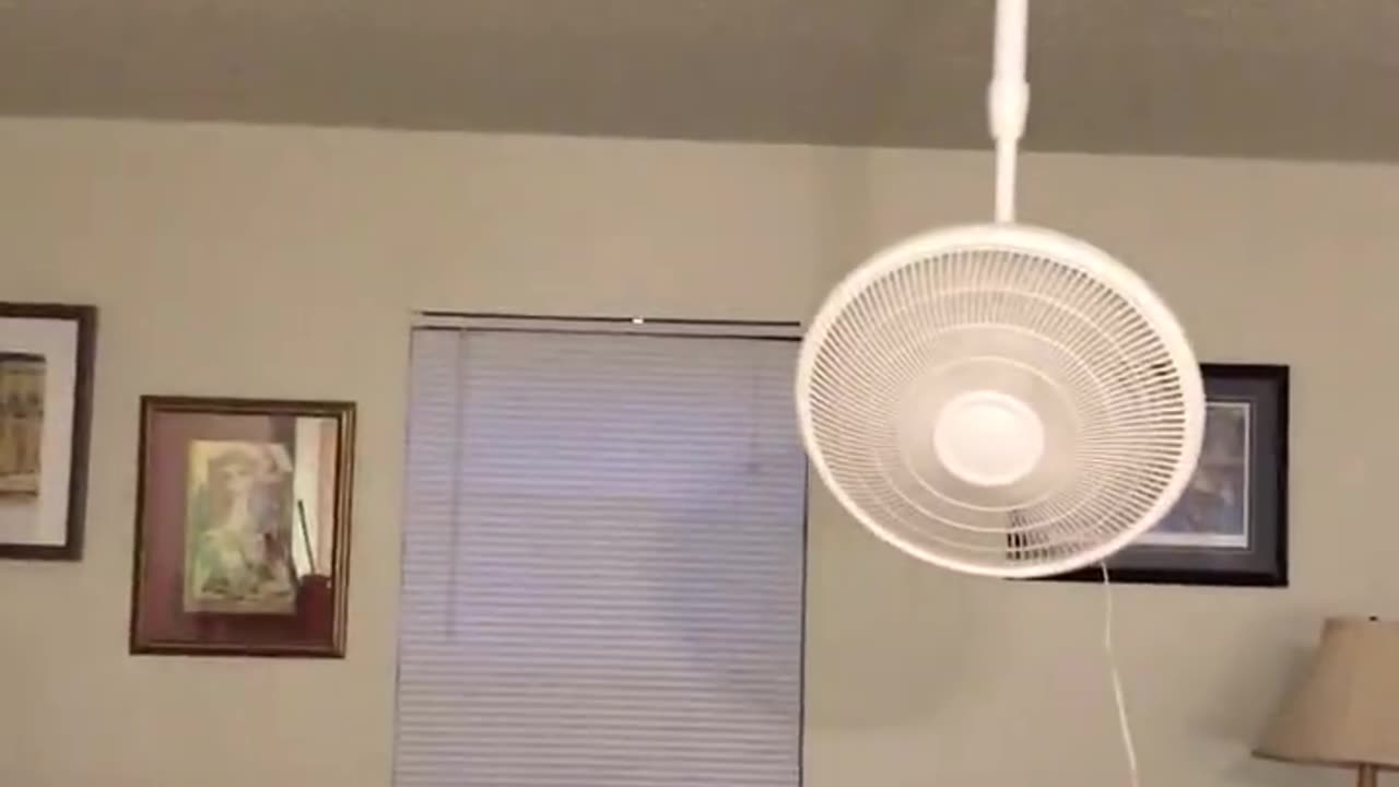 Upside-Down Fan