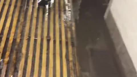 You don’t need rain for the subway to flood—NYC is special that way.