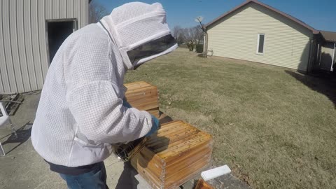 March 11, 2025 Hive Inspection Part I