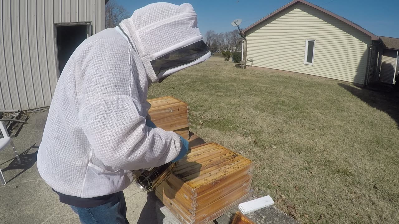 March 11, 2025 Hive Inspection Part I