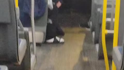 Public Transit Diversity ASMR