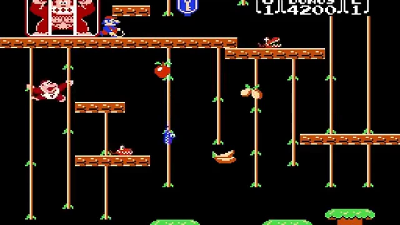 Donkey Kong II - Donkey Kong Jr