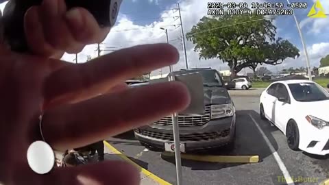 Winter Haven police release body cam video of arrest after image of young girl goes viral