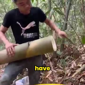 The Secret Superfood You Didn’t Know About!