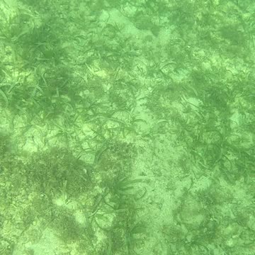 Any Day Snorkeling Is A Good Day!!