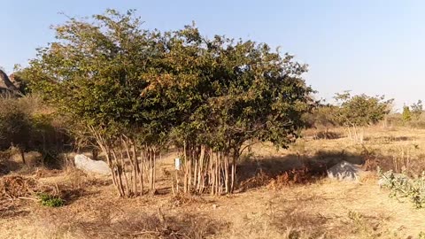 SLOW MO VIDEO 24TH AUG 2022@16:27PM. BOULDERS, BUSHES, BLUE SKIES, OPEN SPACES, LOTS OF LAND!!