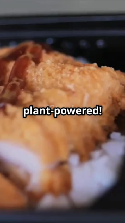 Wednesday Sub of the Day | Plant-Based Chicken Teriyaki & Cookie