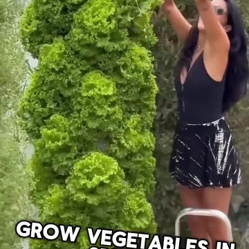 Farming in the Sky: Aeroponics 🤔😮