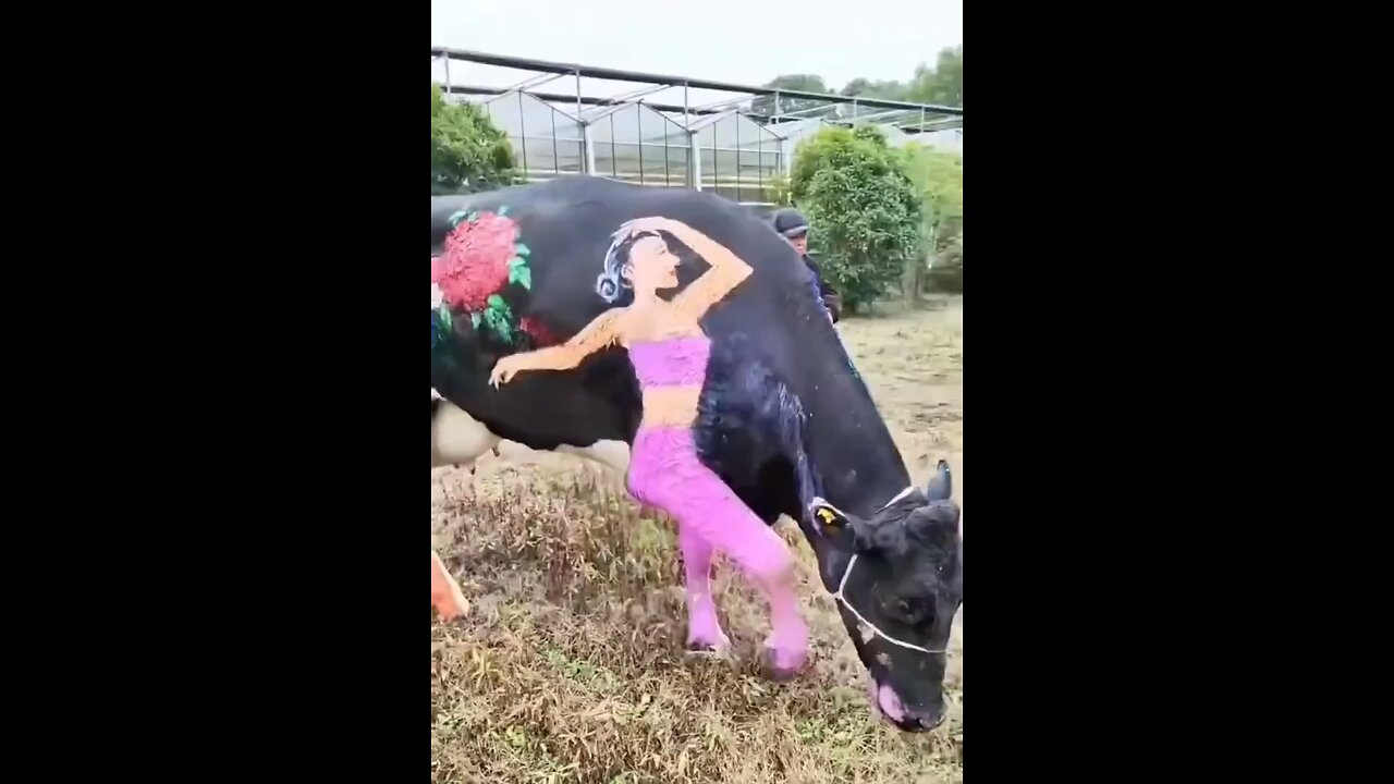 When Creativity Art Meets Perfection/ Funny Video 🤣