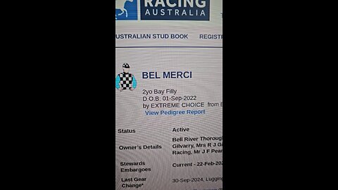 Bel Merci – Golden Slipper Dark Horse? Value Play at 16.0