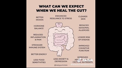 💥 THE POWER OF A HEALTHY GUT😊👍👍👍