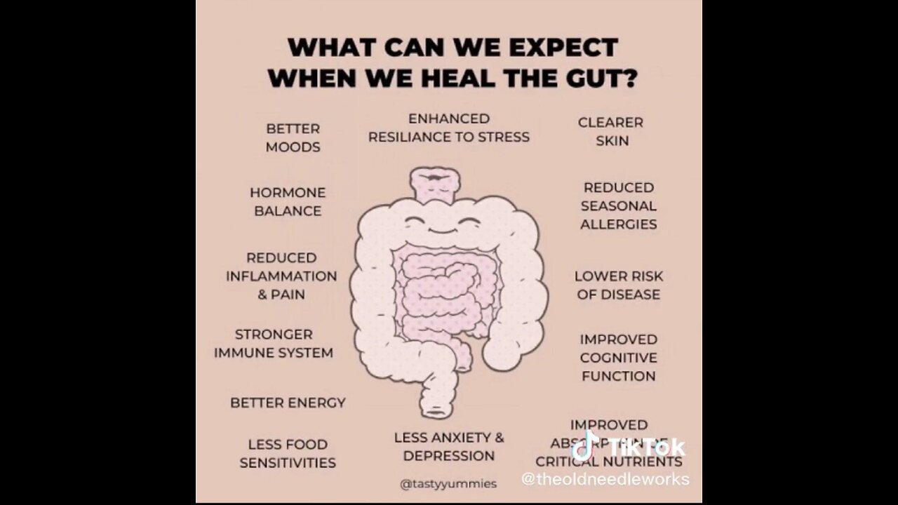 💥 THE POWER OF A HEALTHY GUT😊👍👍👍