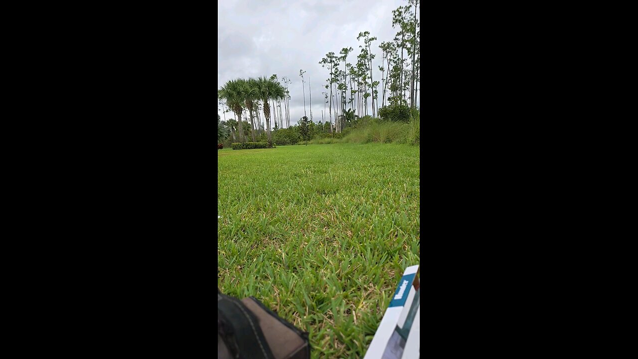 Florida Birds