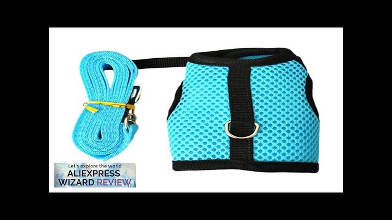 Puppy Bowknot Chest Strap Pet Rabbit Harness Vest and Leash Set Review