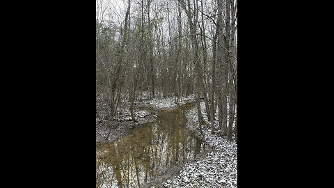 Winter day