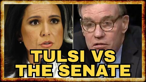 Tulsi SPARS With Senators on Snowden, Surveillance, and Syria
