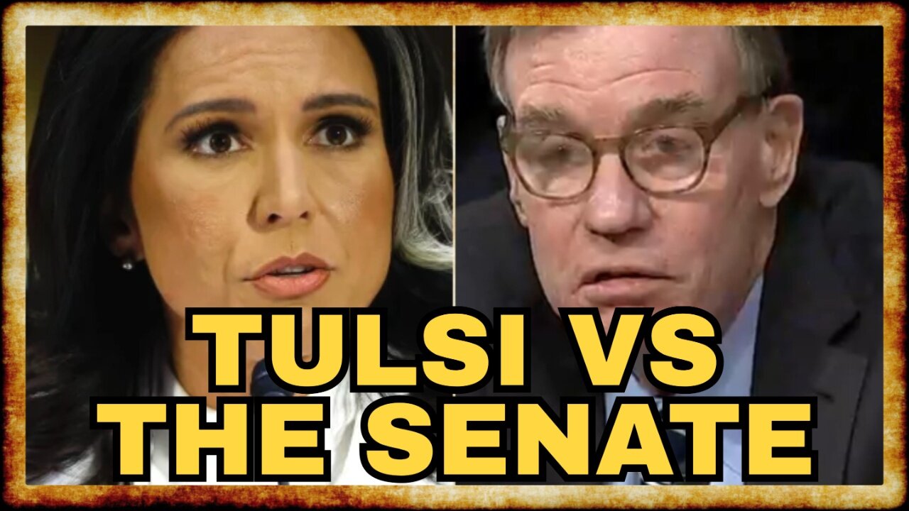 Tulsi SPARS With Senators on Snowden, Surveillance, and Syria