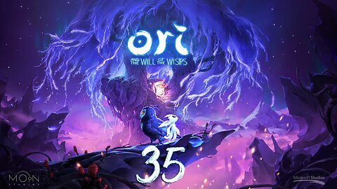 Ori and the Will of the Wisps Hard 035 Map Reveals