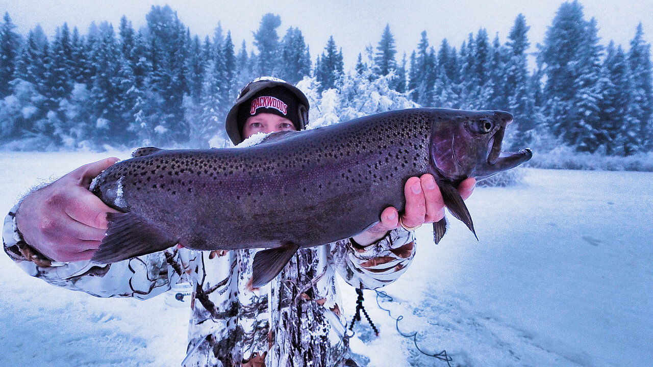 How I Catch BIG Rainbow Trout Ice Fishing (UNDERWATER CAMERA)