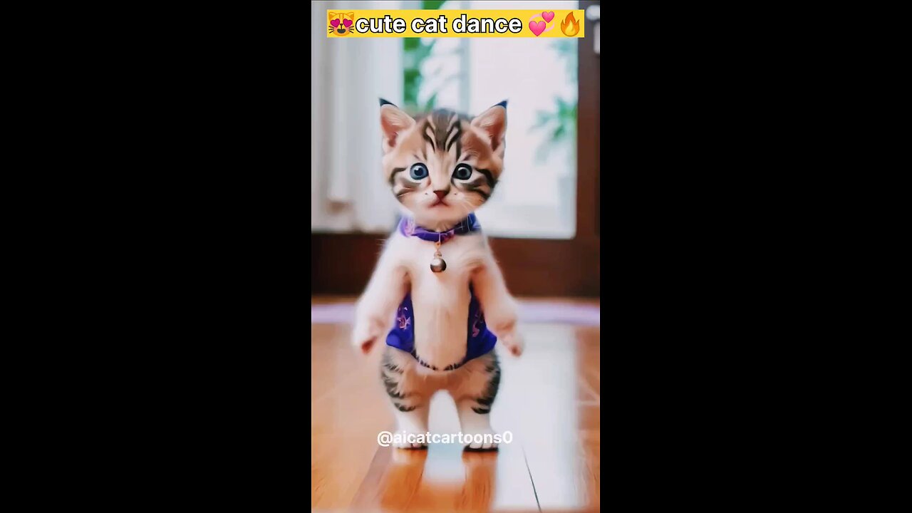 cute cat dance 💞🥰 #cat #dance #trending #carshorts #cartoon #viralshort #shorts #short #cute #fun