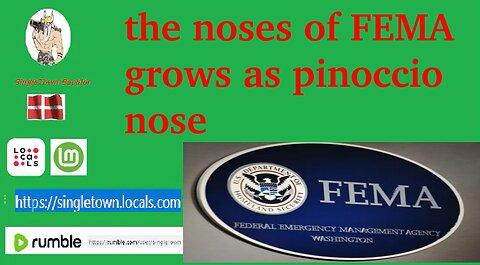 the noses of FEMA grows as pinoccio nose