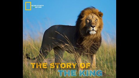 🦁THE STORY OF "THE KING"👑 NG WILD-EARTH SESSION 1 ( EPISODE :- 1 ) FOLLOW FOR NEW UPDATE EPISODE