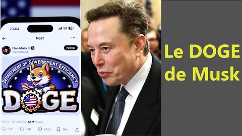 Le DOGE d'Elon Musk