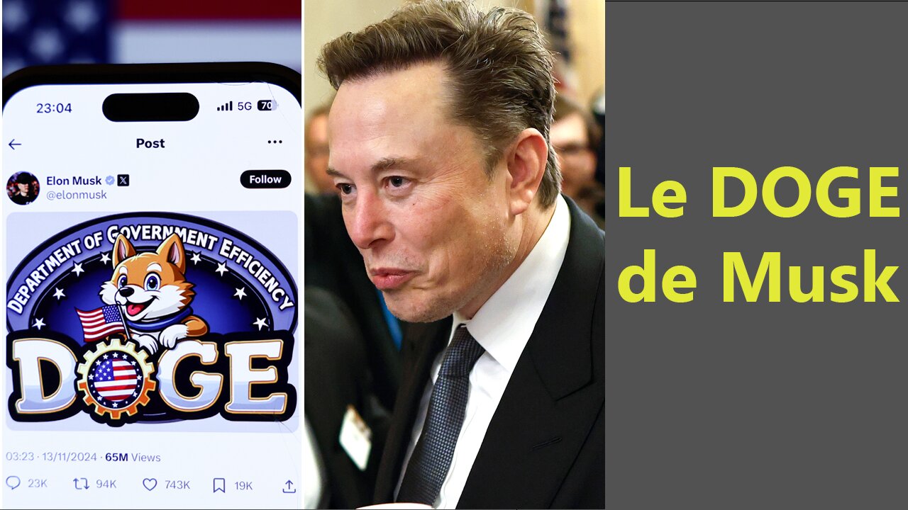 Le DOGE d'Elon Musk