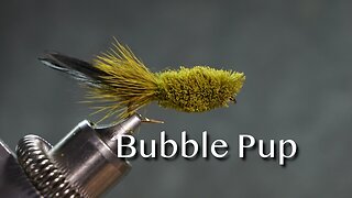 Helen Shaw’s Bubble Pup bass fly pattern