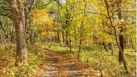 You Can Draw Near to God Through Nature Photography