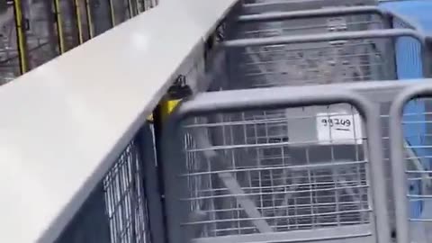 חנויות מקוונות מחליפות את כוח העבודה האנושי שלהן ברובוטים ובינה מלאכותית צילומים מאדידס