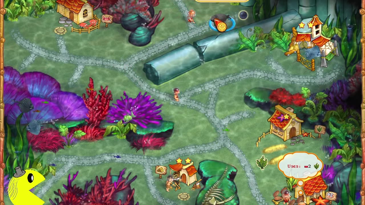 Island Tribe 5 - Level 4 - February 2025